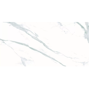 Elite Renoir - porcelain (Shower Floor Tile, Matte, Exterior, Interior) shower floor tile